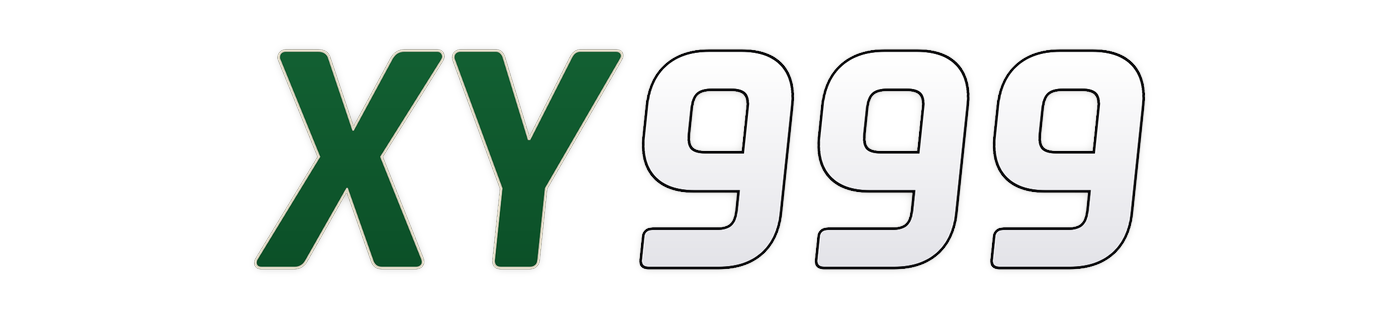 xy999